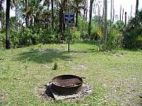 Buck Lake Camp shoreline