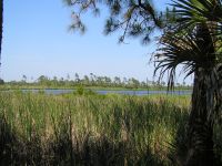 Freshwater Camp lake view
