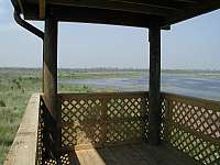 Lake view from the observation tower