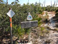 Little Scrub Camp Sign