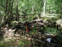 Old Curry Ford Road Bridge