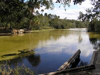 Canoe Pullout at Juniper Wayside