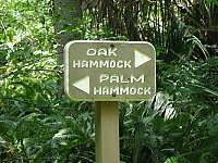 Oak & Palm Hammock Trail