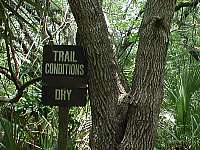 Dry Trail Conditions