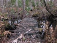 Chainlink Bridge over Mills Creek
