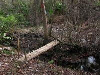 Silcox Branch Bridge