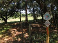 Trail Crossing
