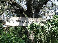 Herb Kale Nature Trail