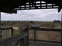Lake Jackson Observation Tower